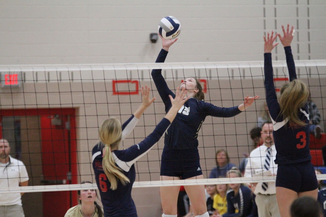 York vs. Platteview volleyball 11.jpeg